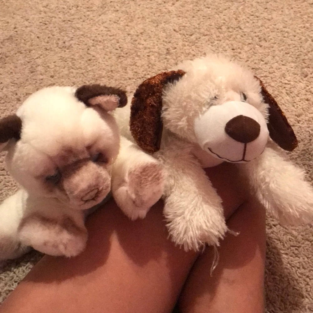 Stuffed Cat & Dog 🐕 🐈